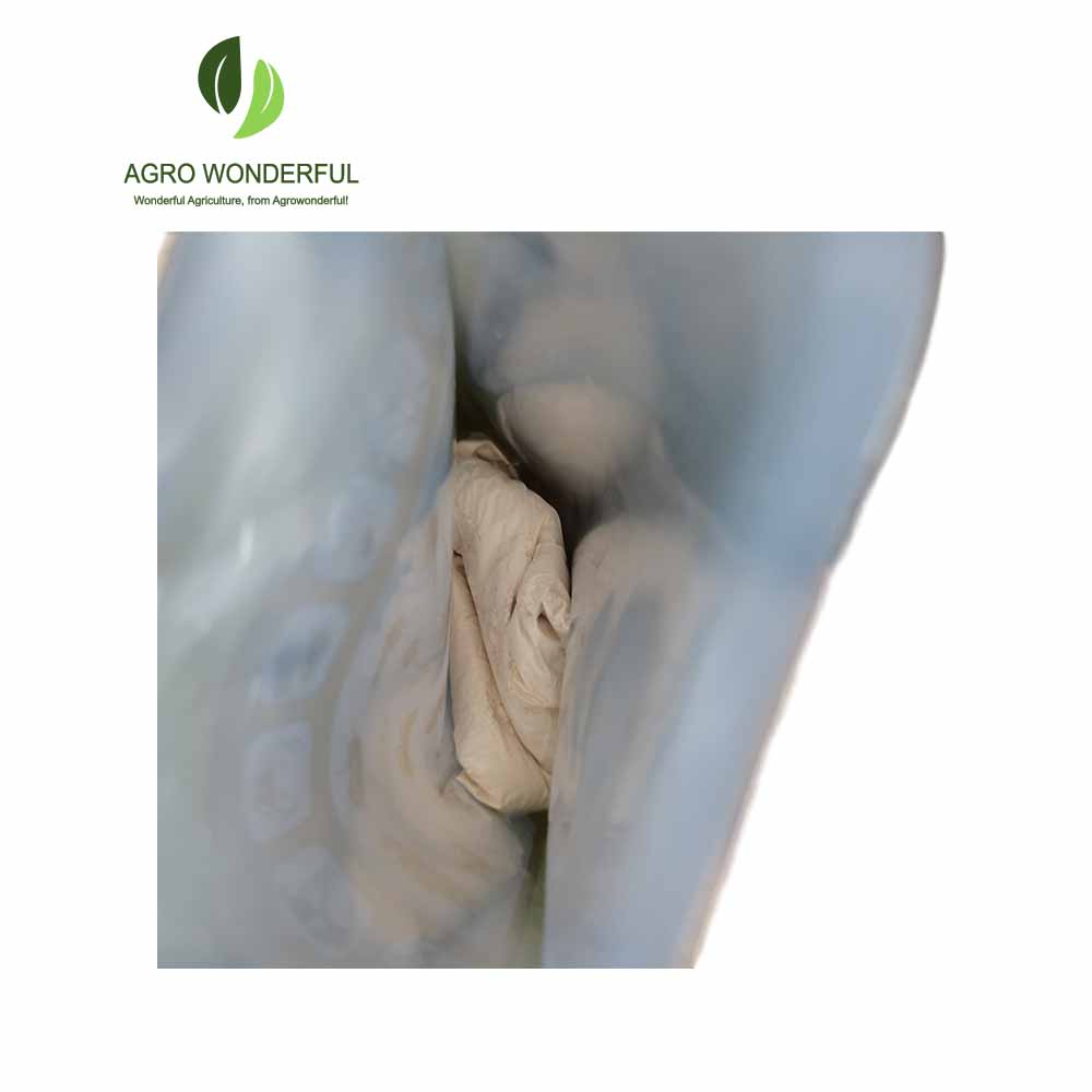 Daminozide B9 in foil bag with water soluble bag