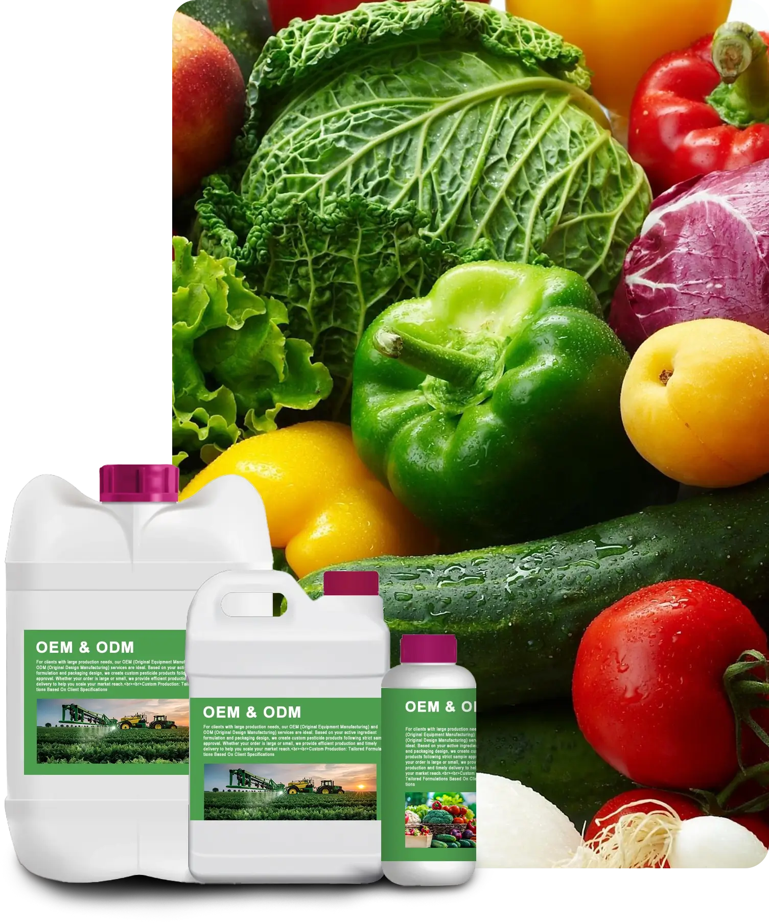 OEM/ODM of green pesticides, growth-promoting agents, etc.