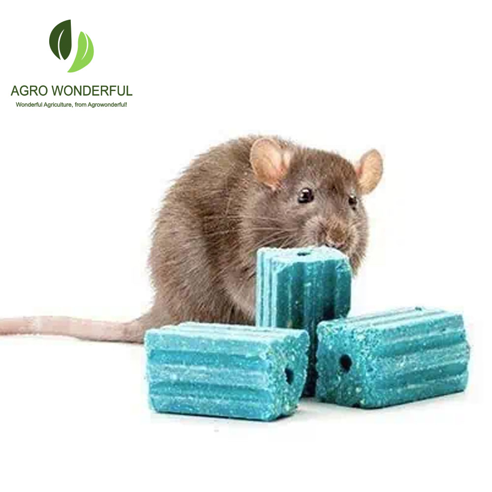 Top 4 Best Rat Poisons | Updated for 2021