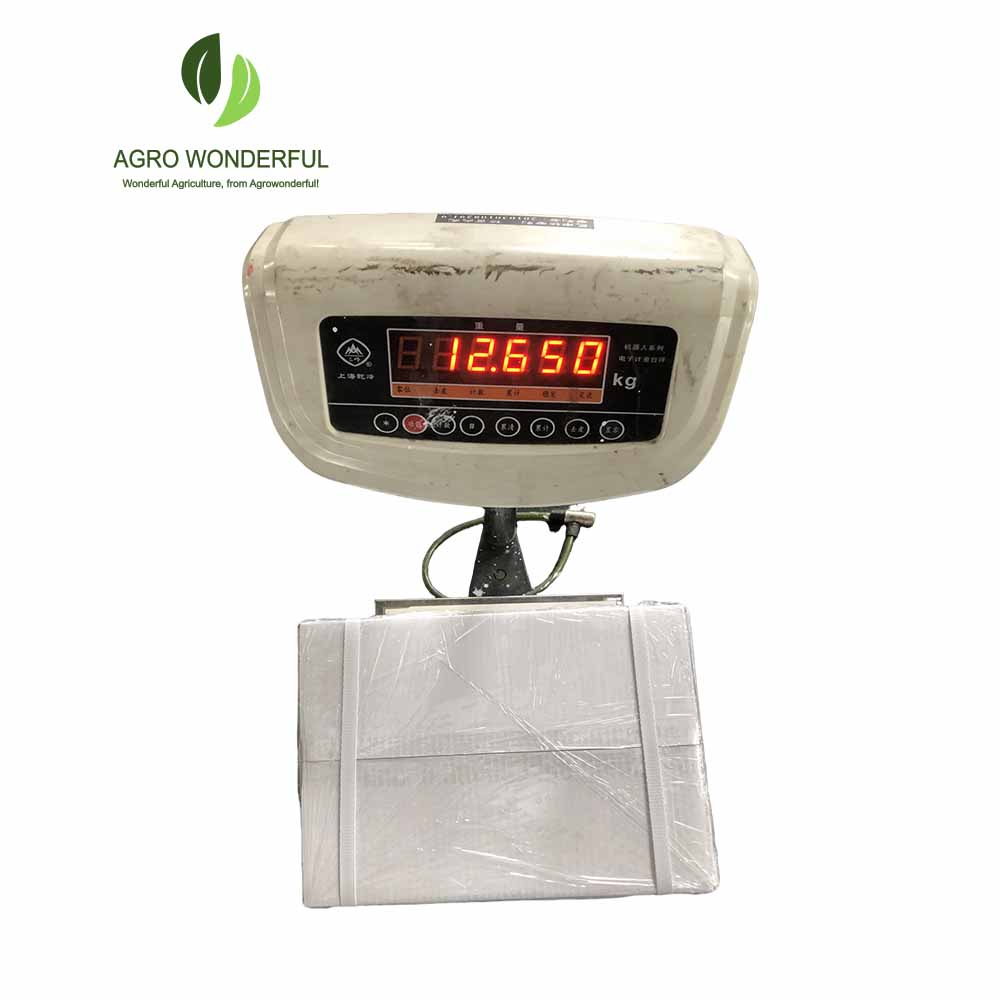 Seed Treatment for Crop Protection seed care