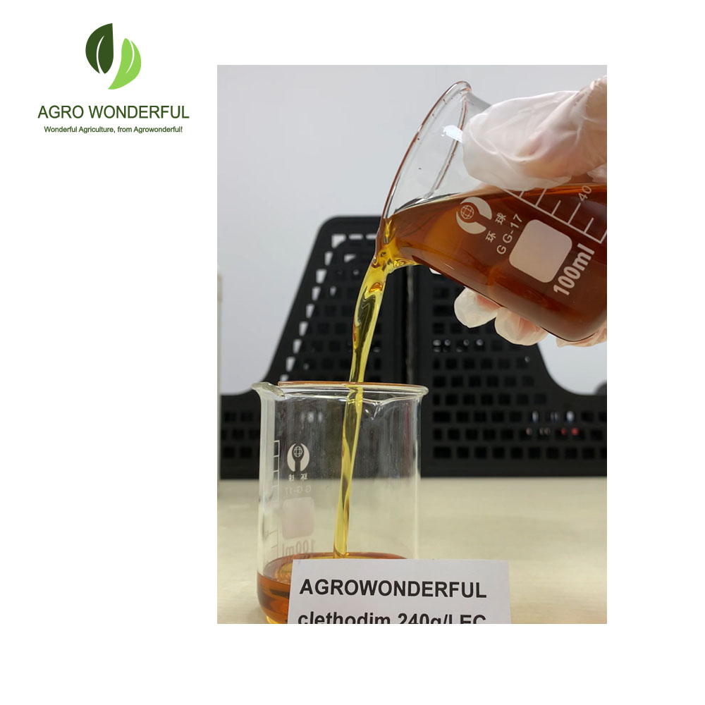 Clethodim Herbicida Clethodim | Herbicida selectivo para la protección de cultivos de hoja ancha