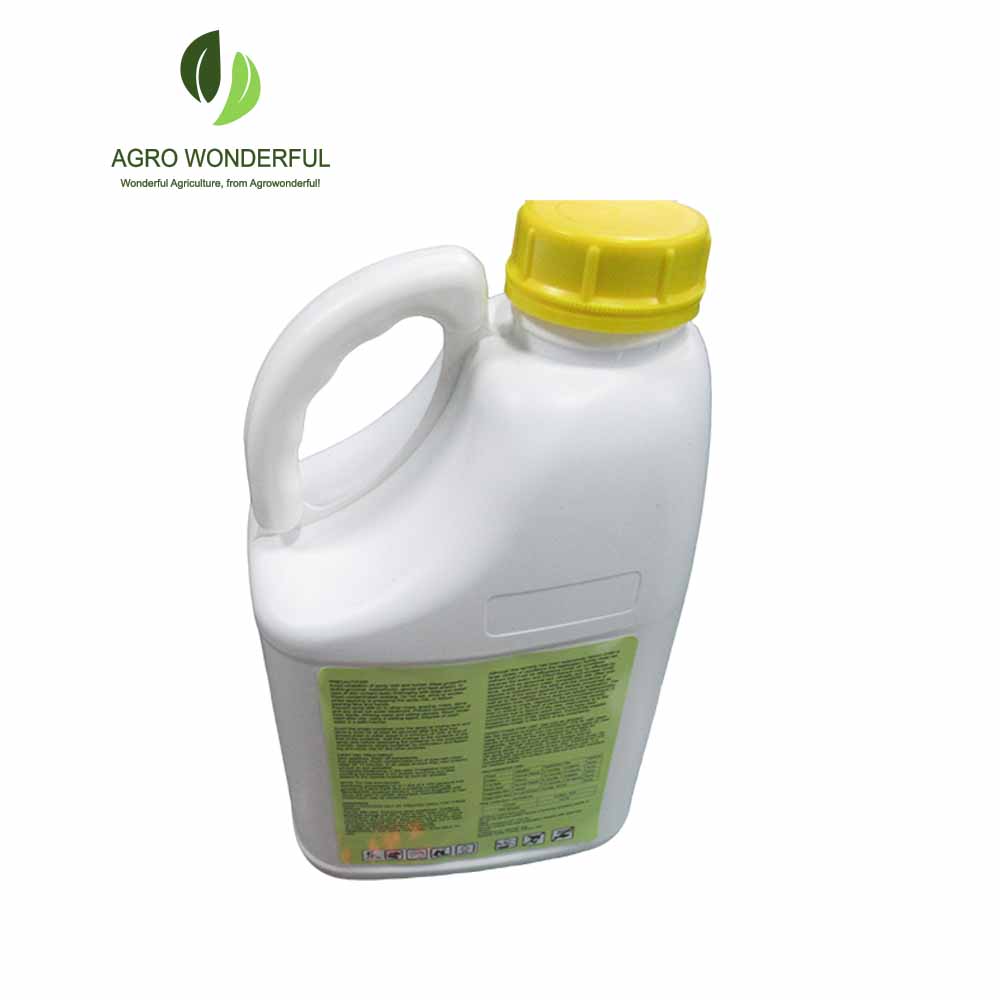 Dicamba 480g/L AS Herbicide - Professional Broadleaf Weed Control