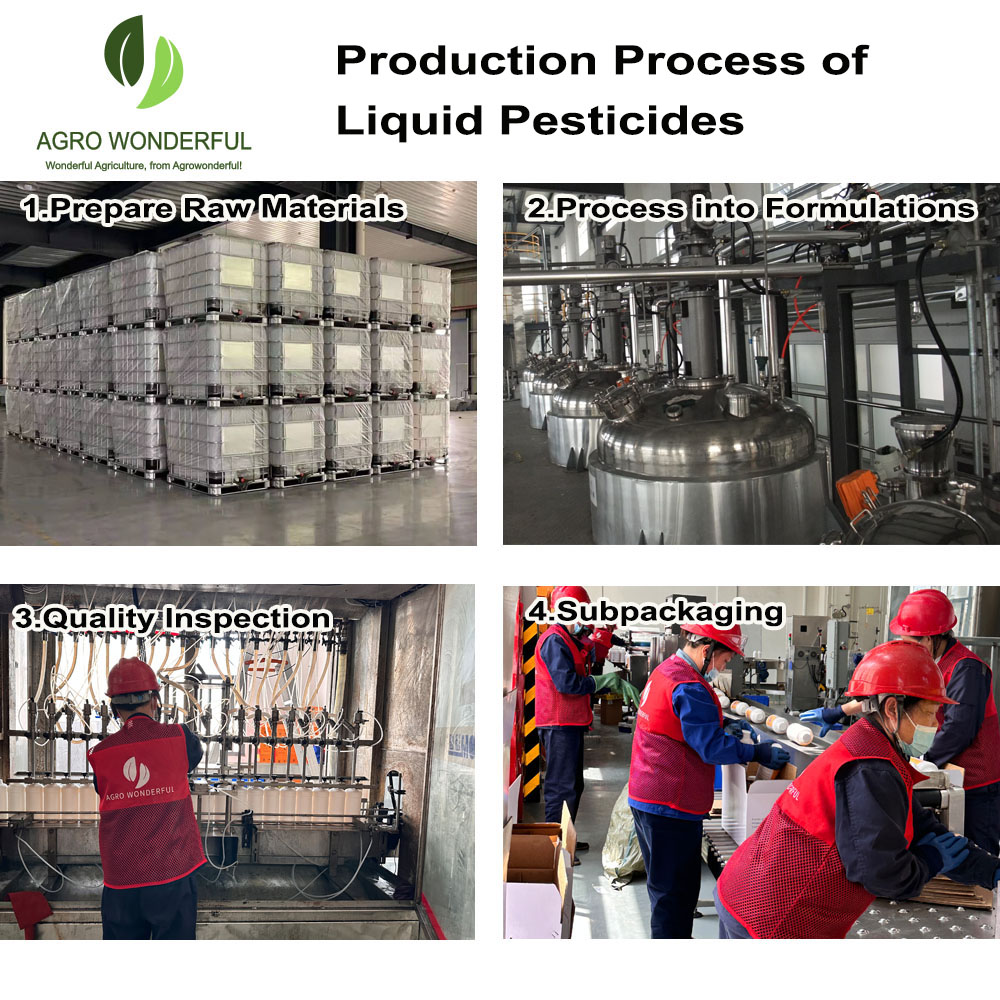 Shanghai agrowonderful factory manufacturer production line
