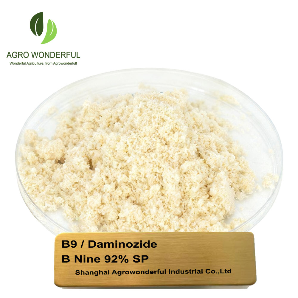 plant Growth Regulator B9 White to pale yellow crystalline powder